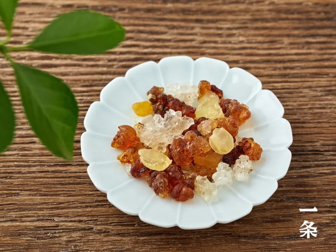 正宗植物燕窝,植物燕窝真正的燕窝是什么样的