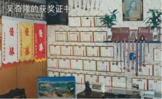 10位运动员出身明星,国内运动员出身的明星