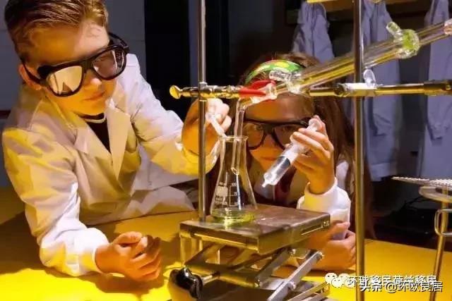 来荷兰，终于可以当亲妈了！