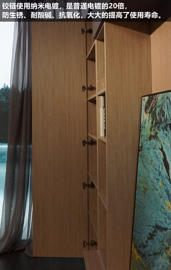 莱茵艾格定制家具测评,莱茵艾格定制衣柜效果图