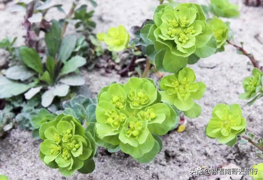 西安附近的公园免费景点推荐,西安公园免费旅游攻略最新