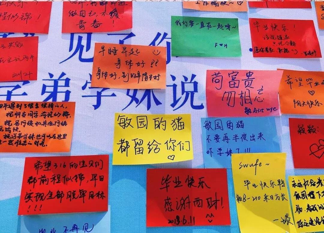 四川最有钱的5所大学,四川最有钱的大学排名