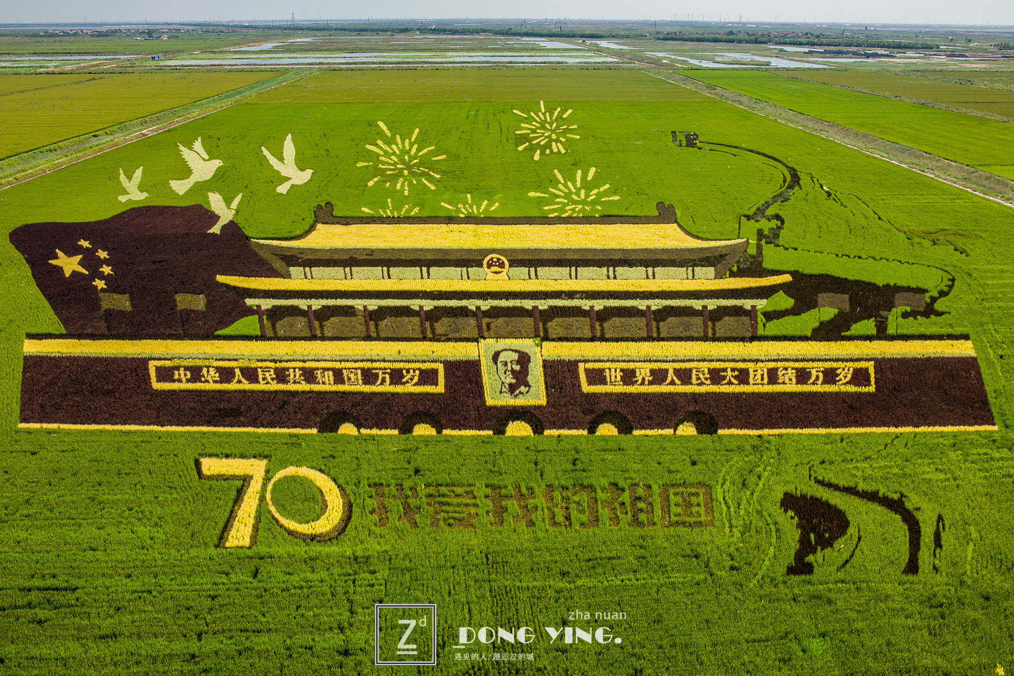 山东黄河入海城市,山东黄河去哪里看最壮观