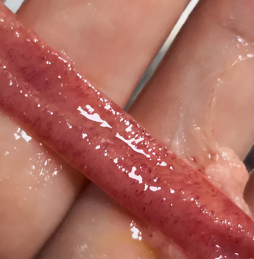 为什么鱼病久治不好,鱼病了怎么治疗最好