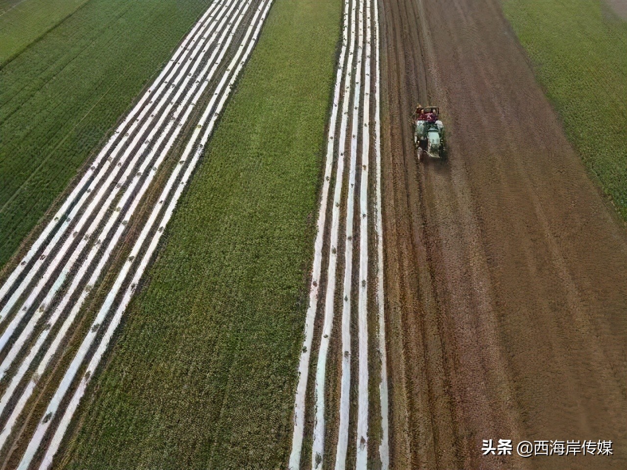 西海岸新区乡村振兴,西海岸大场镇乡村振兴产业园