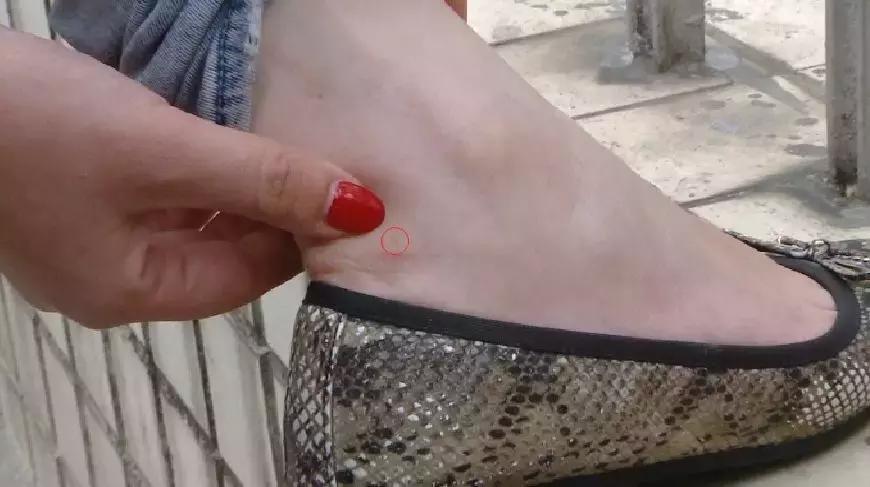 扩散！南宁邕江边发现红火蚁，被它叮了很恐怖，严重可致死