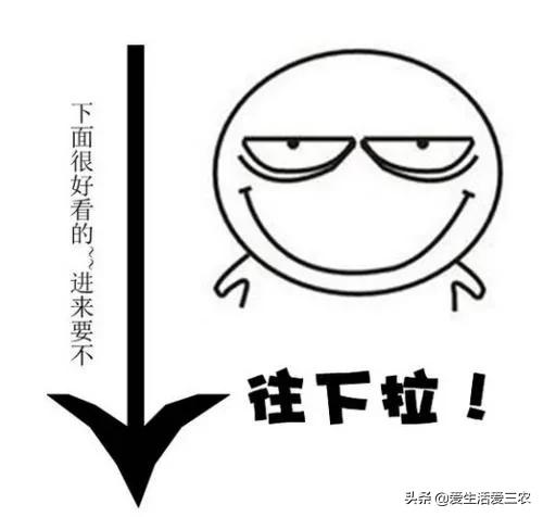 在农村如何致富,农村也能致富的小妙招