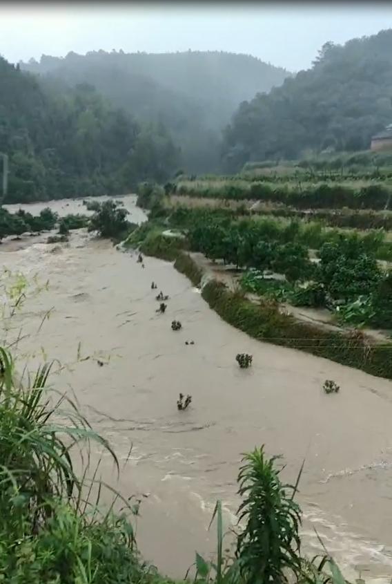 园区路面积水,园路低洼处积水如何处理