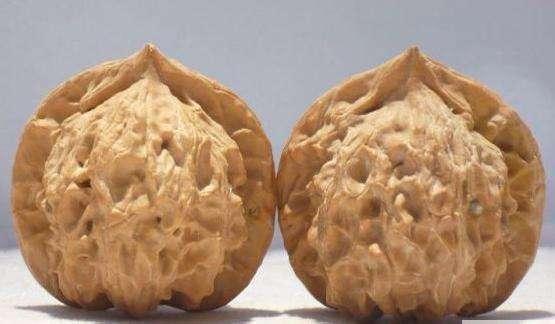 一分钟看懂文玩,全方位了解文玩核桃