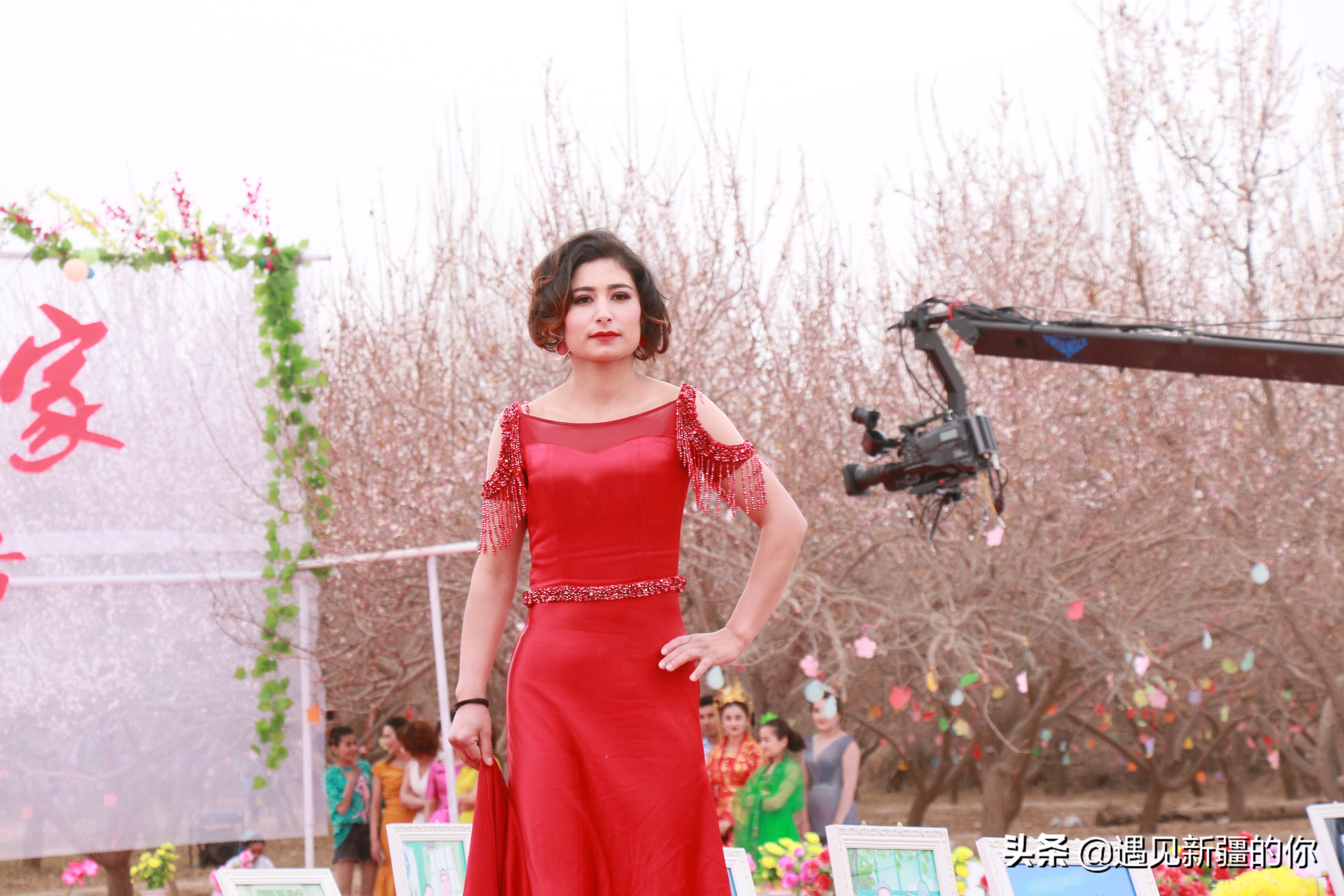 伊犁杏花节哪里的好看,杏花节旅游