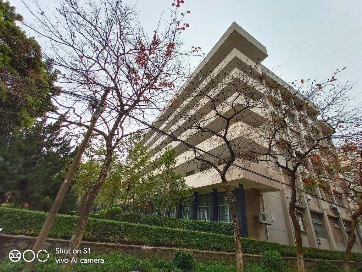 vivos1怎么可以达到最好性能,畅享z上手体验