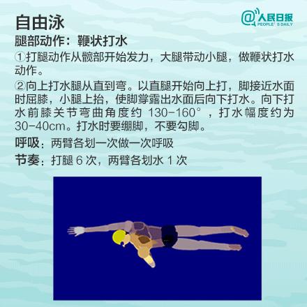 自由泳四句口诀,学游泳技巧口诀图片