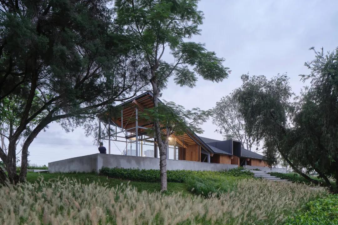 蝶变茅洲河，遇见城之美/同济设计TJAD