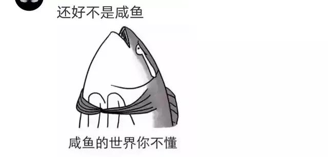 神回复下半句,神回复煮东西