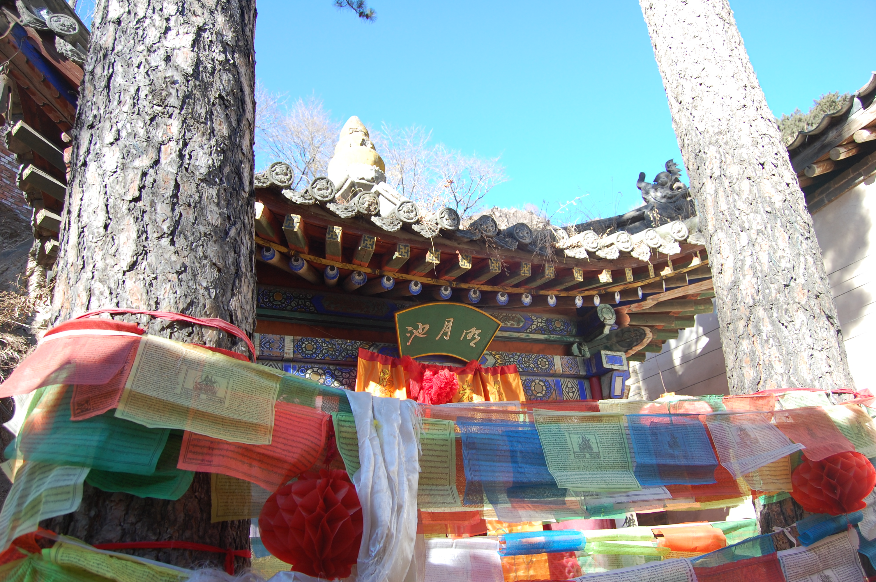 五台山最新攻略,五台山游玩攻略指南最新