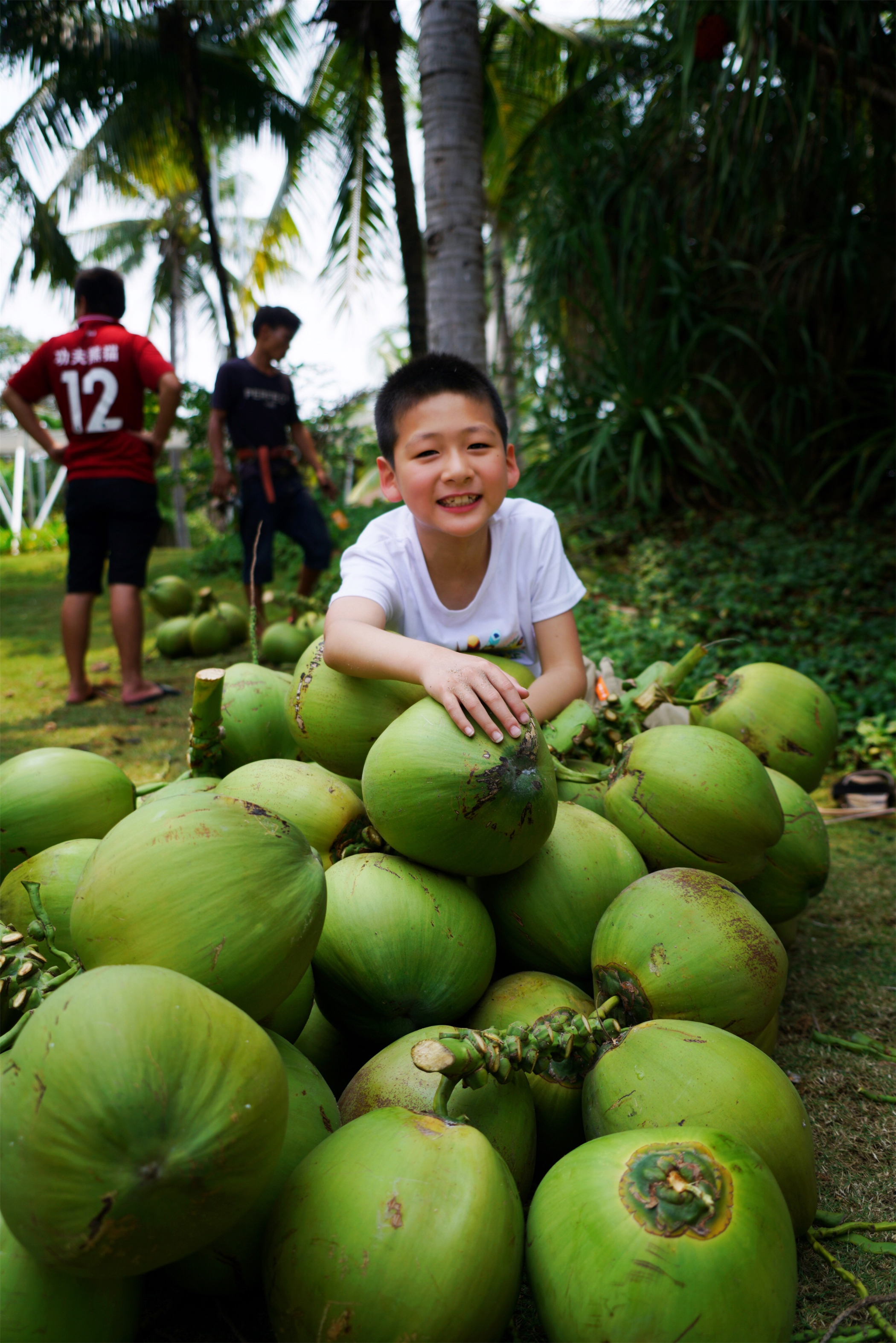 三亚亲子游酒店1000元左右,一价全含三亚亲子度假酒店