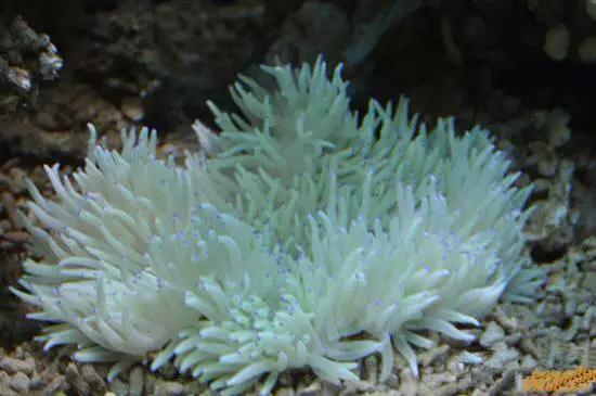 开海什么海鲜最好,开海季肥美海鲜