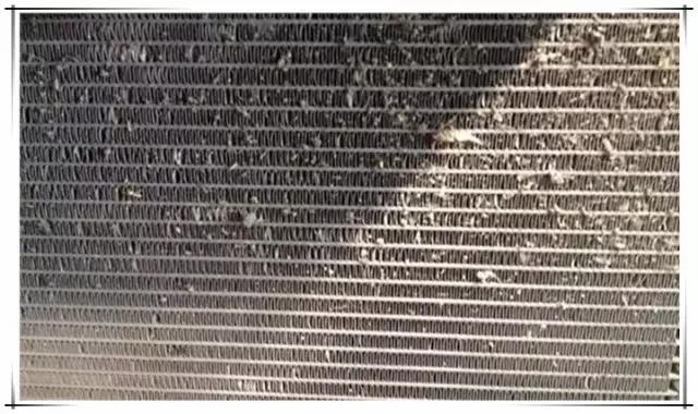 用什么办法可以去除车内异味,怎么去除车内细菌异味