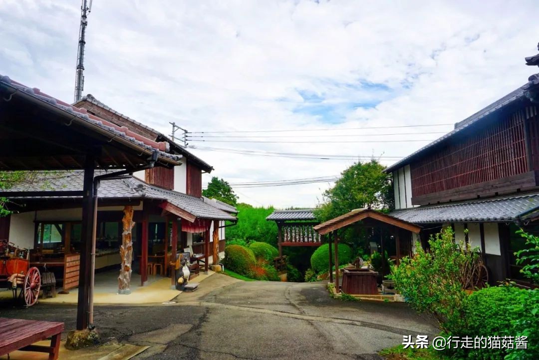 去腻了一个地方,大阪京都福冈一日游