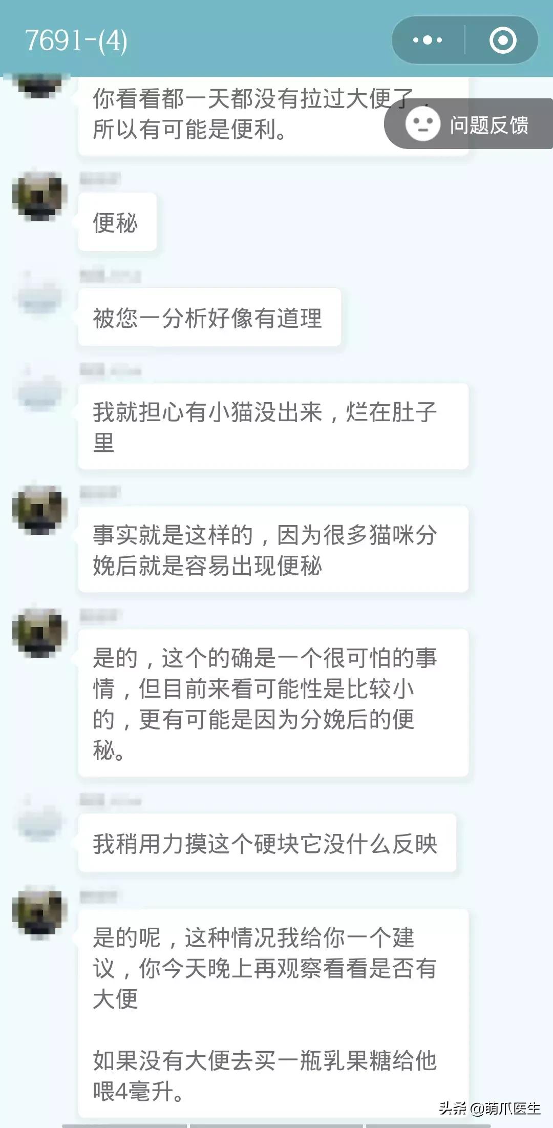 足不出户线上看诊,24小时猫病在线咨询