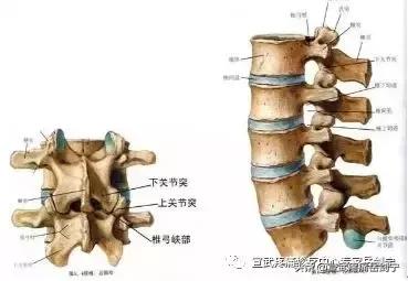 腰突然弯曲感觉卡住,腰突然像卡住的不能动怎么缓解