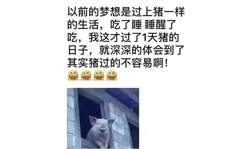 疫情会出现各种危险吗,疫情期间你注意到了什么现象作文