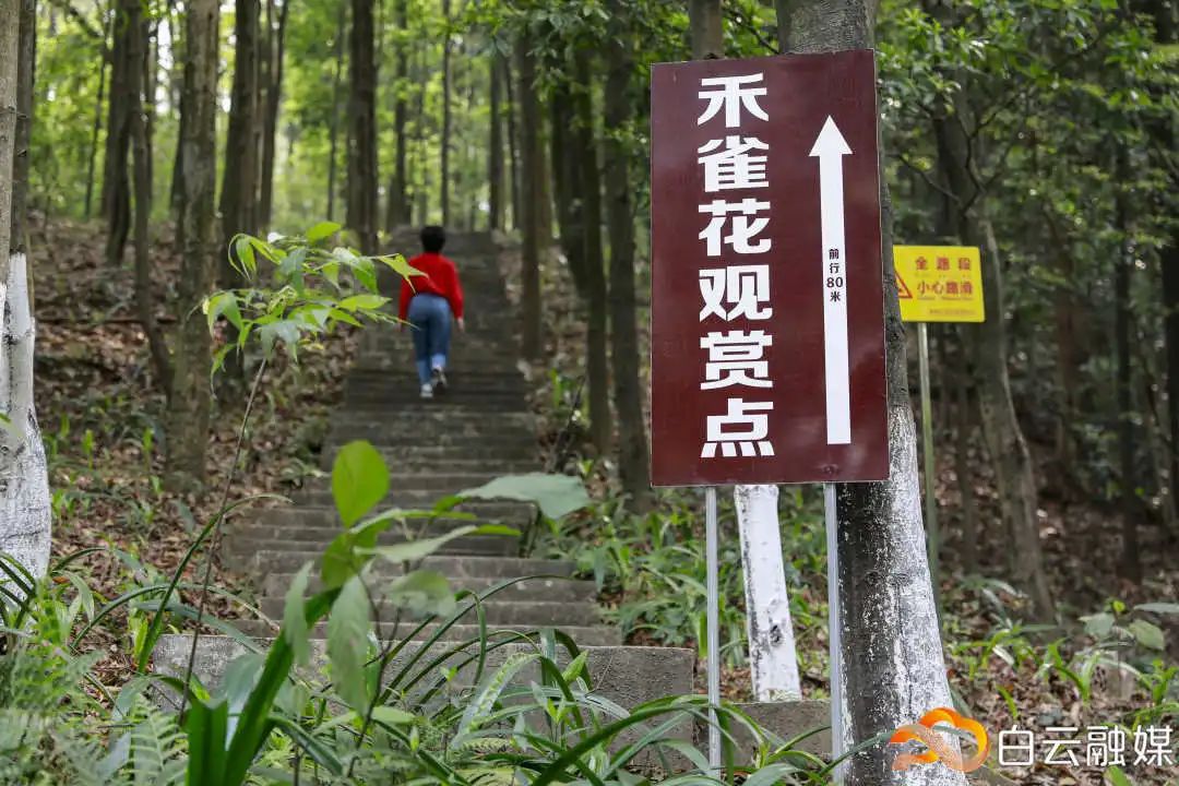 走一起去看美丽的风景,走一起去看美好的风景