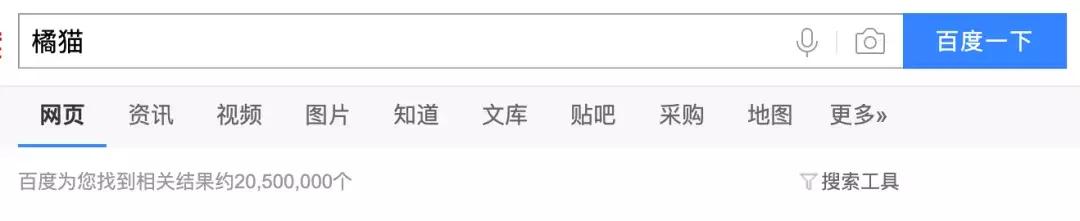 猫圈一定是魔咒吗,猫圈玄学黑猫
