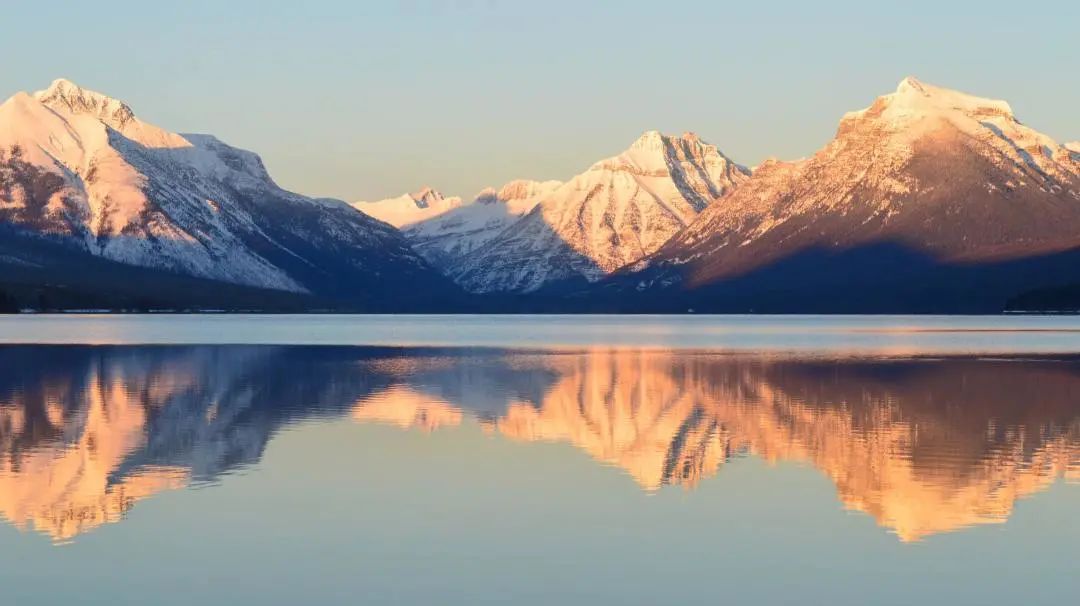 刘力红五行针法完整视频,刘力红五行针