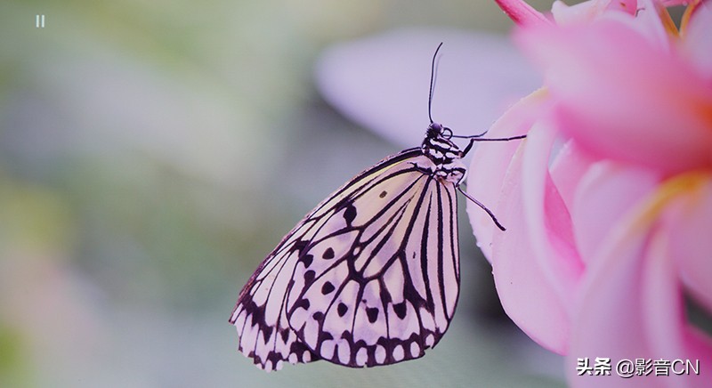 爱普生ch-tw5800t投影仪,爱普生tw5800是激光投影仪吗