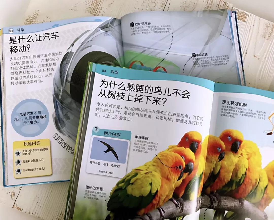 孩子必看的5部纪录片动物世界,最适合儿童观看的6部动物纪录片