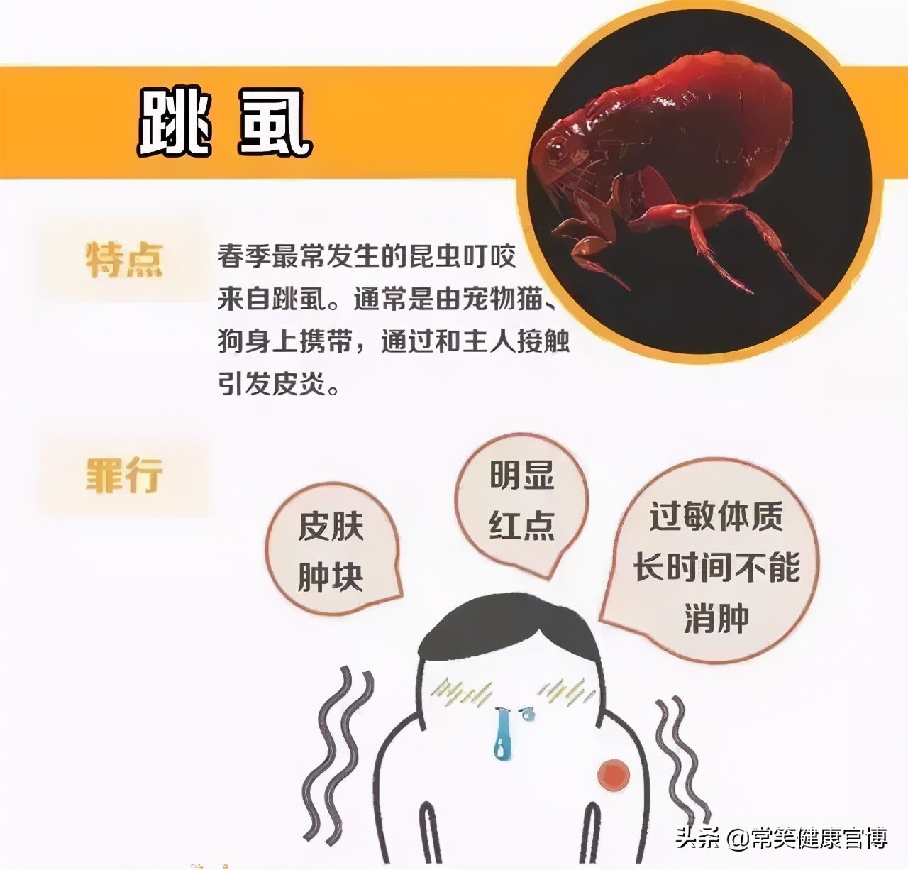 夏季蚊虫肆虐谨防虫咬皮炎,蚊虫痒怎么办快速止痒小妙招