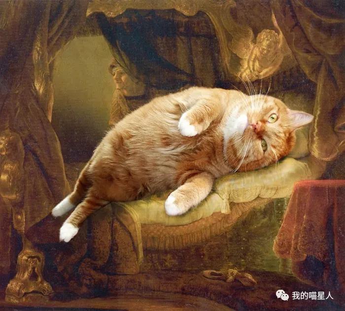胖橘猫画作,一位画家把自己的猫画成卡通人物