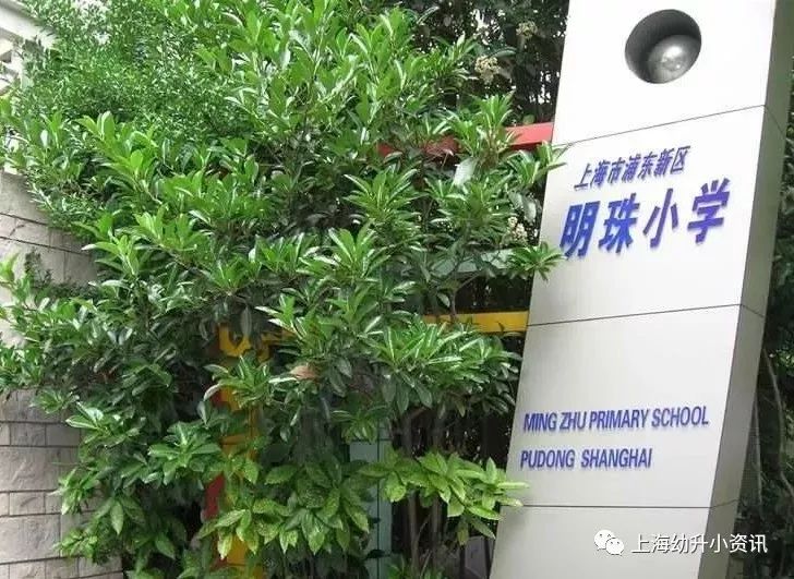 上海市浦东新区临港外国语小学,上海市浦东新区昌邑小学