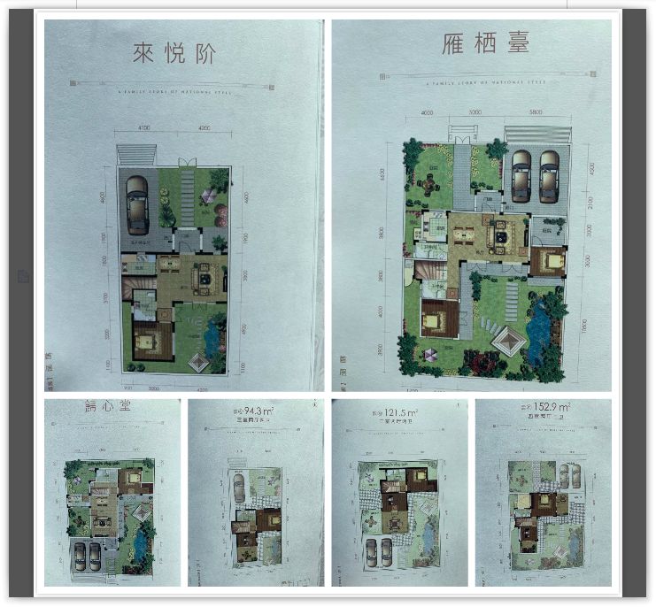 南海新区具有什么特点,南海新区详细介绍