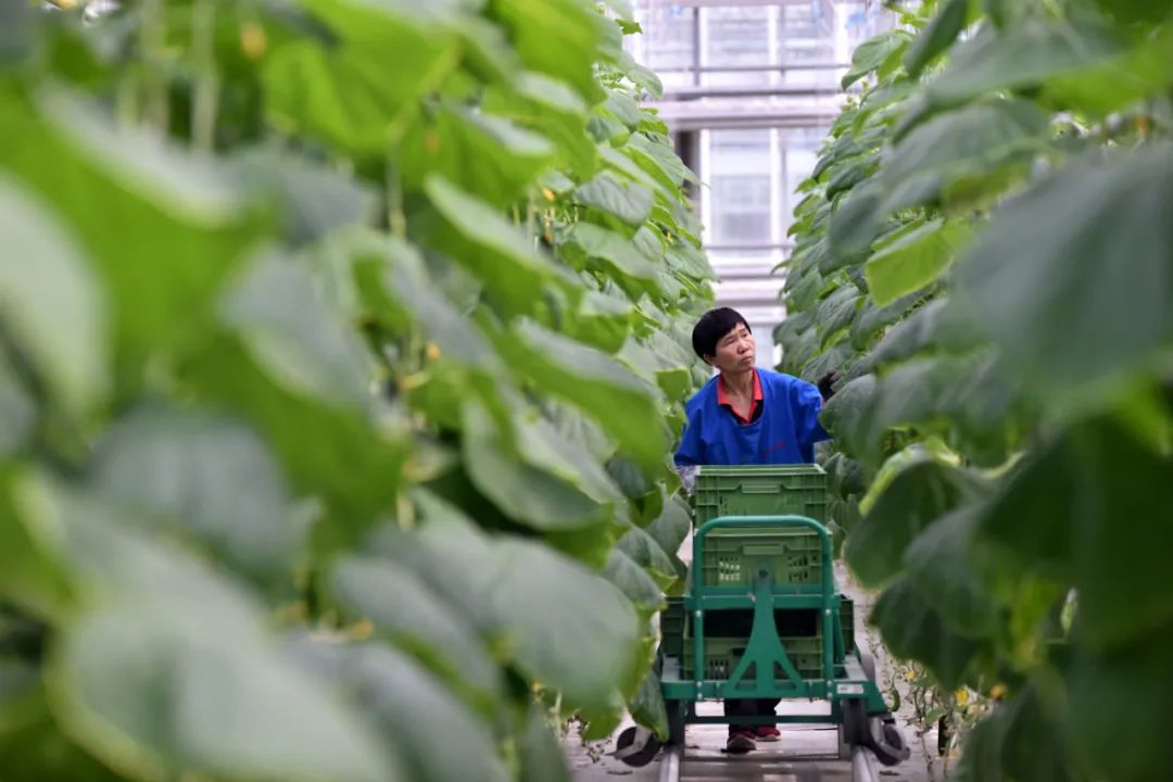 我为群众办实事怎样加强舆论宣传,我为群众办实事新媒体