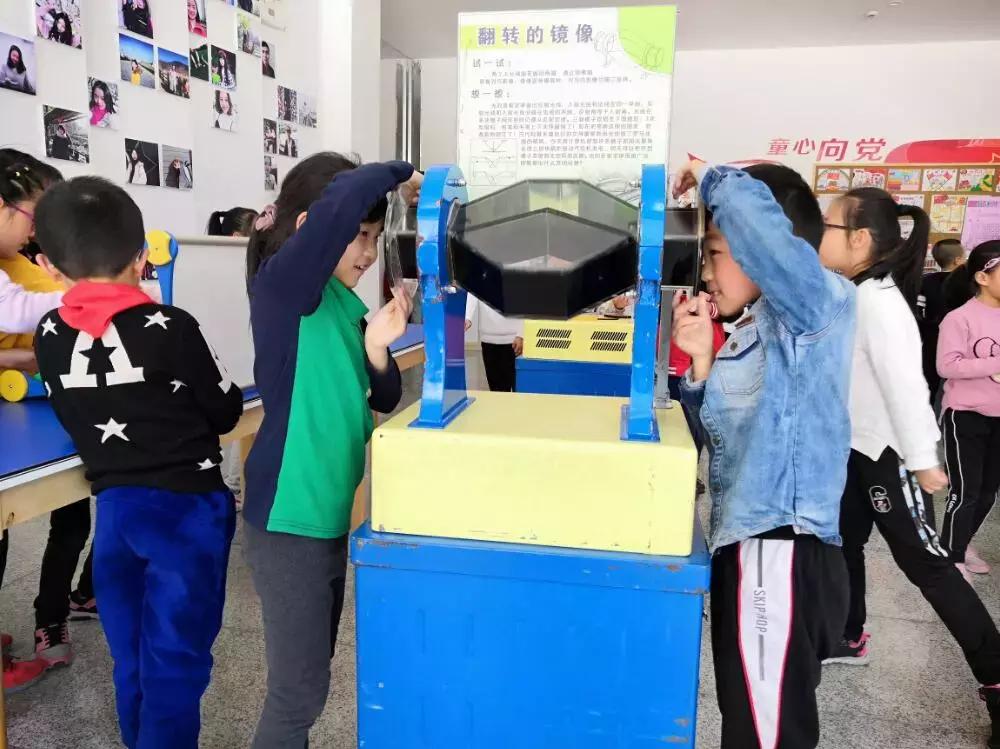 盐道街小学是五朵金花吗,五朵金花深度解析