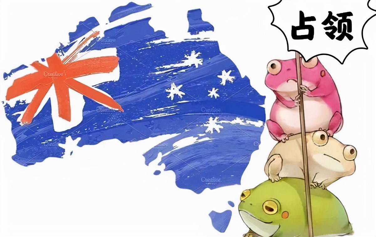 全世界最大的蟾蜍,全球最大的蟾蜍