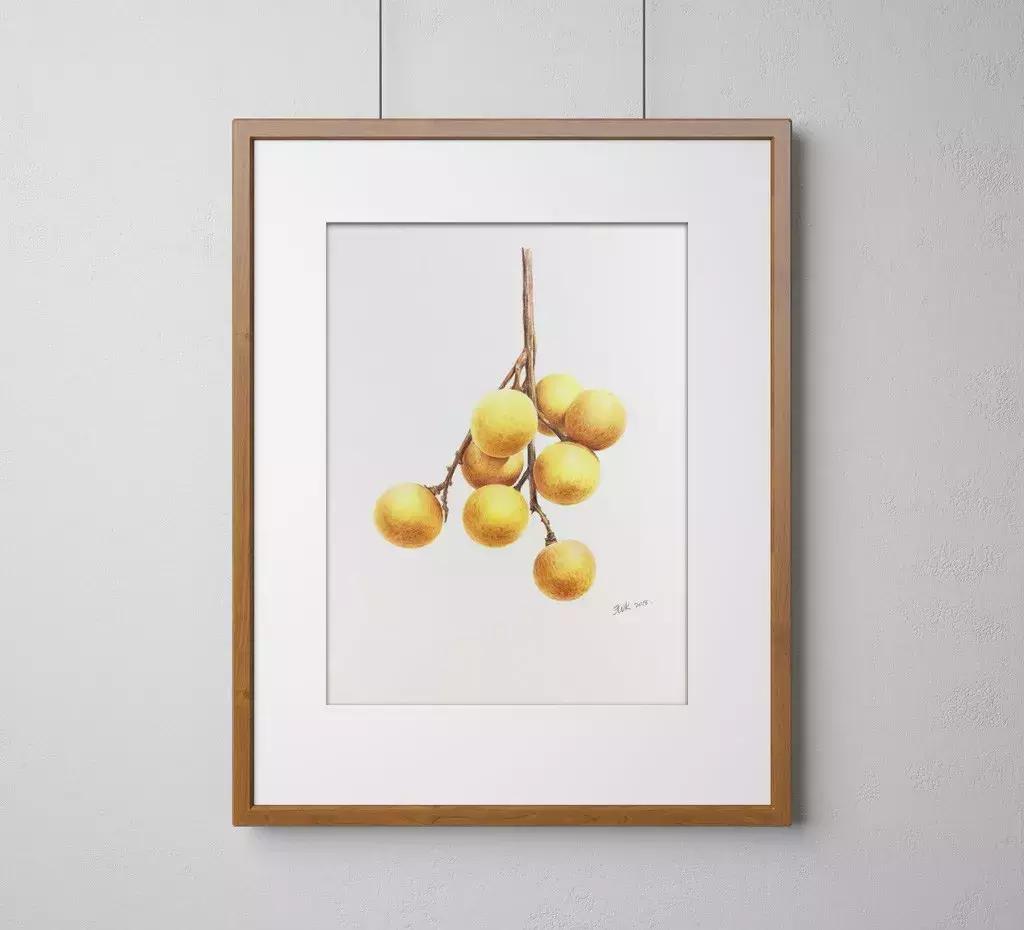 彩铅龙眼,龙眼怎么画彩铅