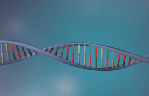 新型冠状病毒pcr检测操作规程,冠状病毒核酸检测pcr试剂