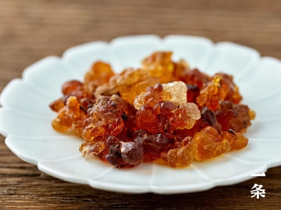 正宗植物燕窝,植物燕窝真正的燕窝是什么样的