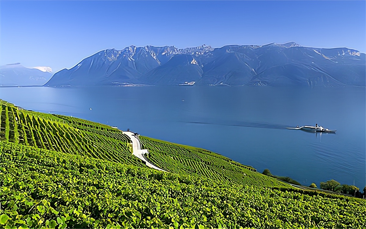 为什么长江叫江黄河叫河,黄河叫河为什么长江叫江