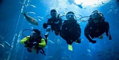 悦动体育夏令营户外拓展篇,2020游学冬令营