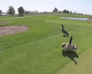 在闲鱼致富,在闲鱼上淘的大疆无人机