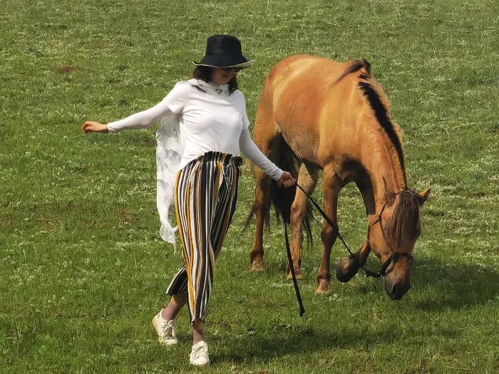 锡林郭勒草原冬天骑马,锡林郭勒盟大草原骑马