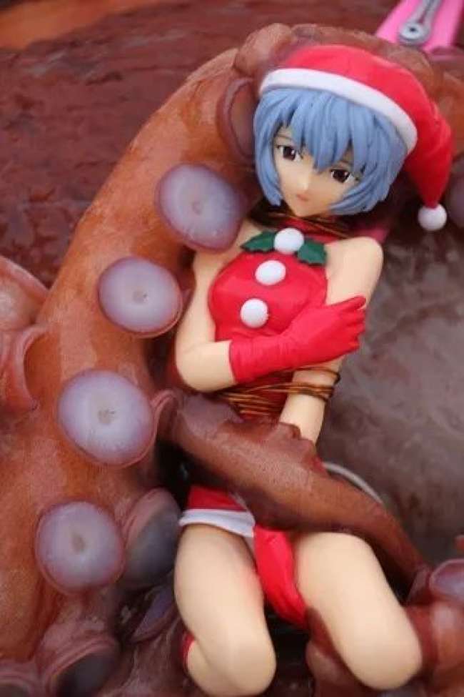 日本捕捉巨型章鱼,日本捕捉94条脚的章鱼