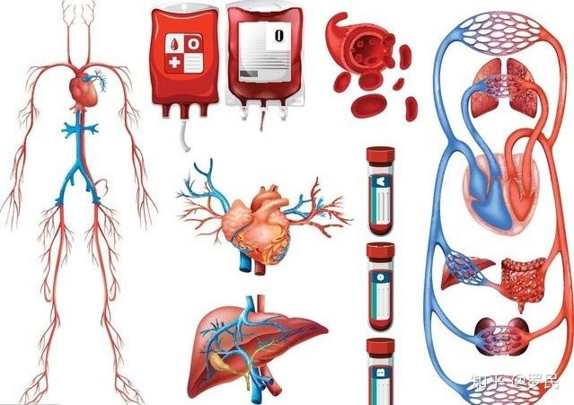 咳嗽气短胸闷上不来气吃什么药,梅核气会导致胸闷气短上不来气吗