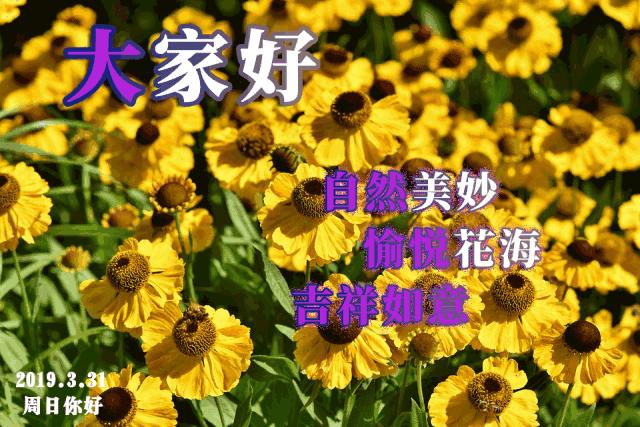 眼光决定了你的幸福,别把眼光停留在想象中