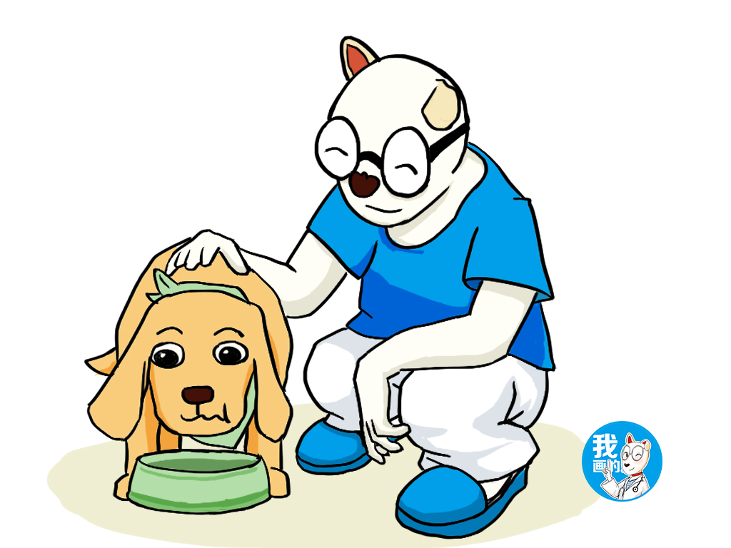 狗狗胃胀气会拉肚子,狗狗胃胀气严重怎么办