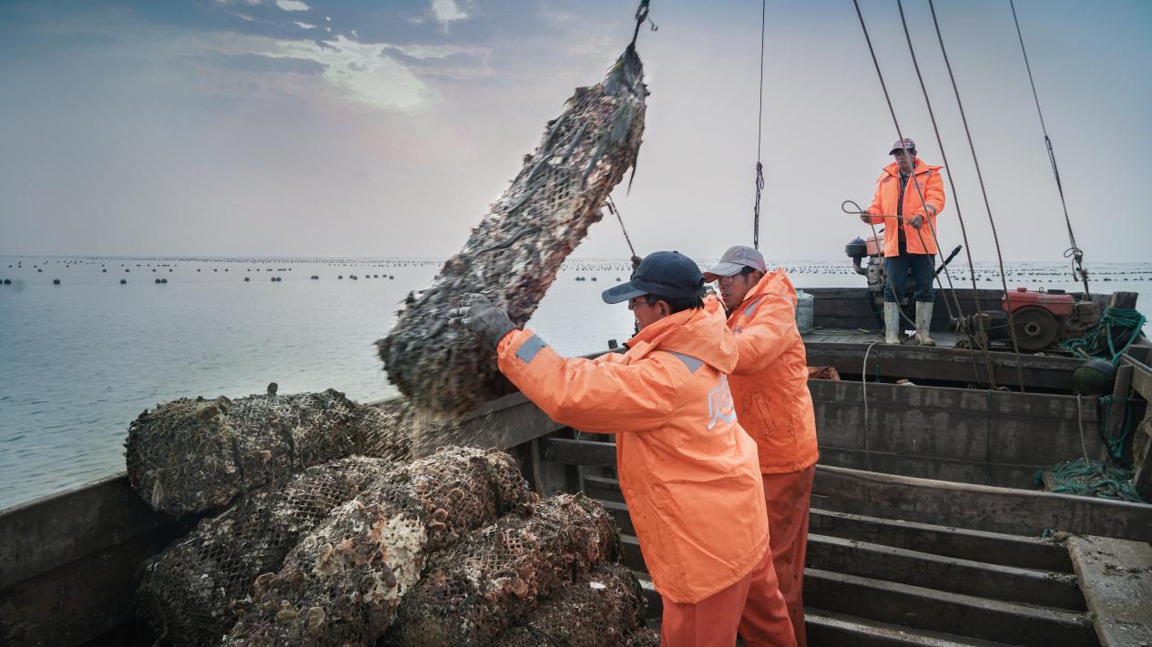 乳山生蚝怎么吃最好,乳山生蚝舌尖上的美食